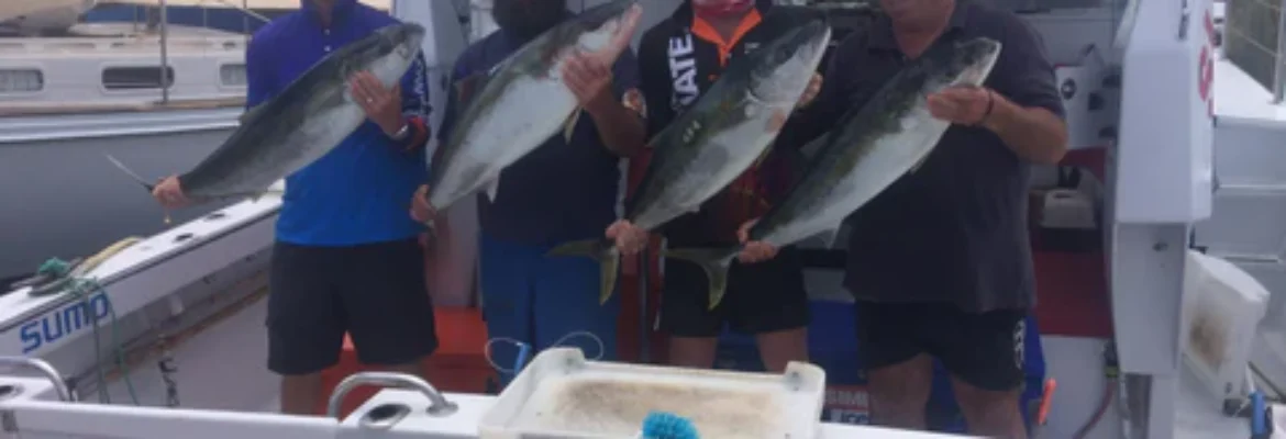 Bream Bay Charters Fishing on SUMO